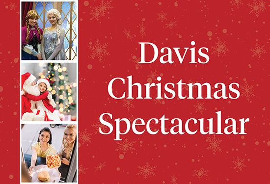 Davis Christmas Spectacular website banner